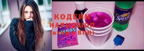 ГАЛЛЮЦИНОГЕННЫЕ ГРИБЫ Арсеньев