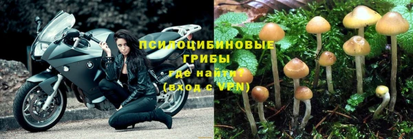 ГАЛЛЮЦИНОГЕННЫЕ ГРИБЫ Арсеньев