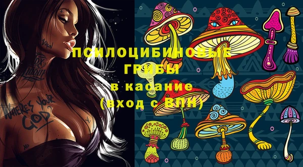 ГАЛЛЮЦИНОГЕННЫЕ ГРИБЫ Арсеньев